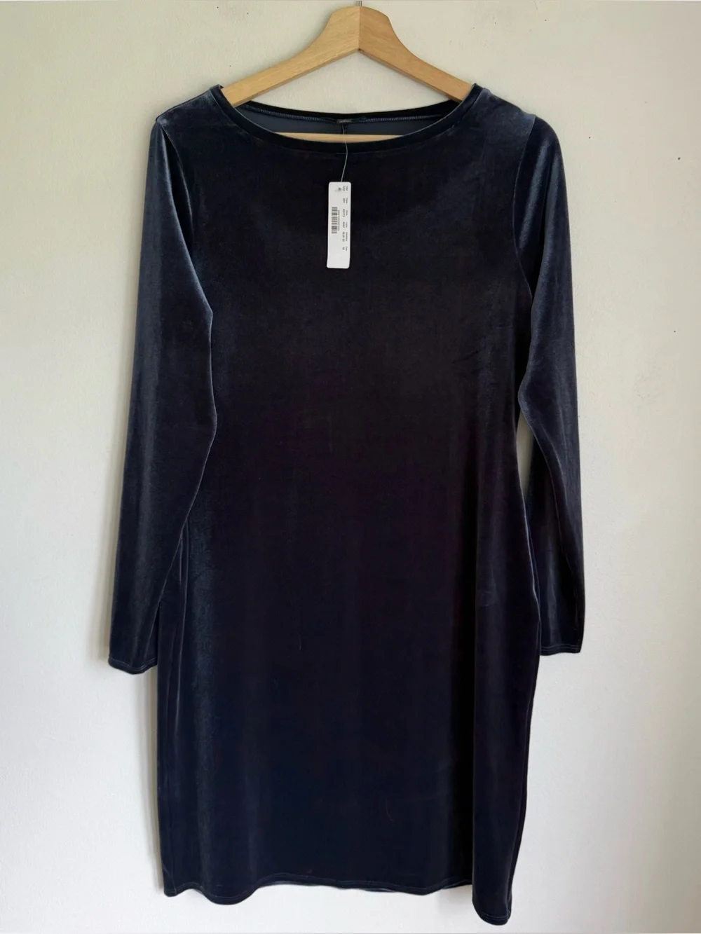 NWT J. Crew Velvet Long Sleeve Dress in Blue